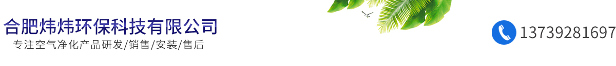 合肥煒煒環(huán)?？萍加邢薰? id=